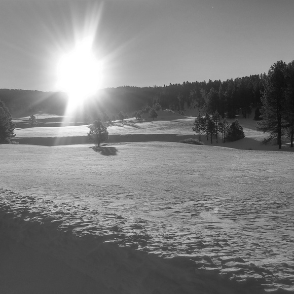 Meet your Posher, Charlotte - Picture 1 of 1